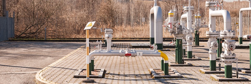 有什么簡便的方法檢測口腔細菌 ?有關菌落總數檢測問題都在這里~?健明迪