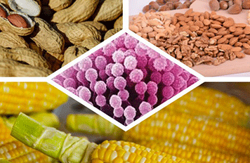 廚房抽油煙機(jī)檢測(cè)設(shè)備?滅菌器檢測(cè)項(xiàng)目及標(biāo)準(zhǔn) ?健明迪