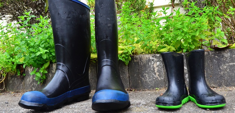 慢應(yīng)變速率試驗(yàn)