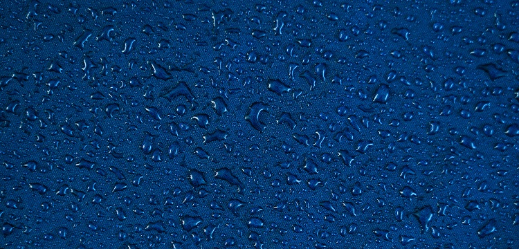 SARS-CoV 鼻內(nèi)感染敘利亞倉鼠模型