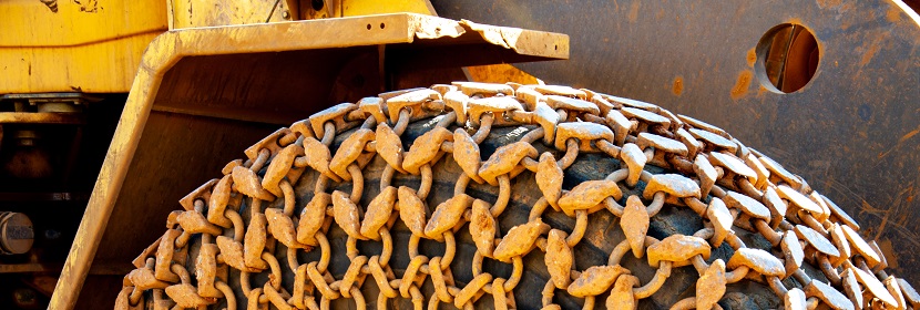 泊洛沙姆407誘導(dǎo)金黃倉(cāng)鼠脂代謝異常