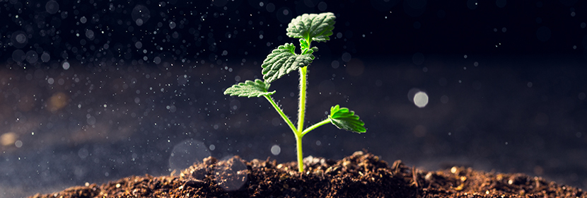 農(nóng)業(yè)用硝酸鉀檢測