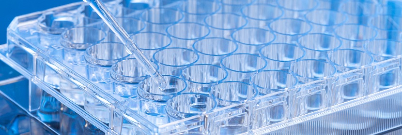 醋酸氯檢測(cè)