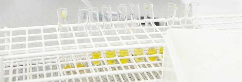 氰基硼氫化鈉檢測(cè)