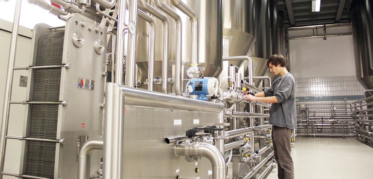 脫氧雪腐鐮刀菌烯醇檢測