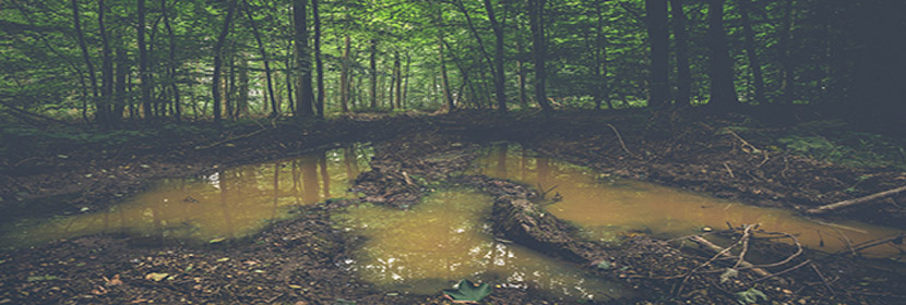 特種設(shè)備檢驗(yàn)