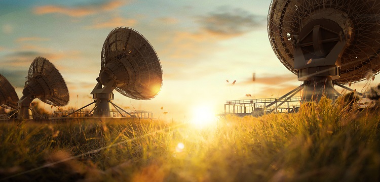 鹽酸多巴胺檢測(cè)