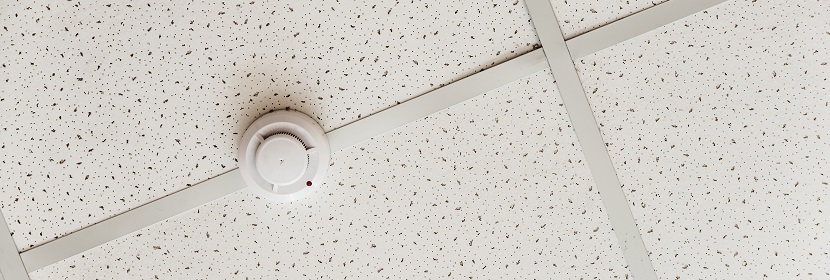 傷寒沙門(mén)氏菌檢測(cè)