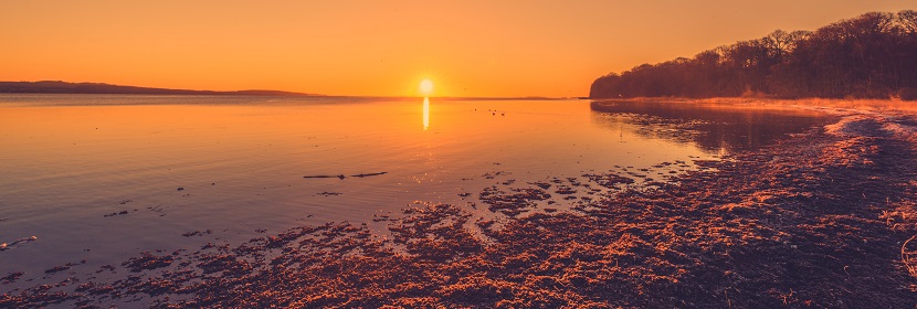 動物實(shí)驗(yàn)室中心