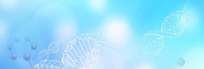 遇水膨脹橡膠檢測(cè)