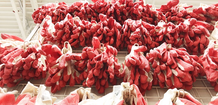 溫度循環(huán)測試