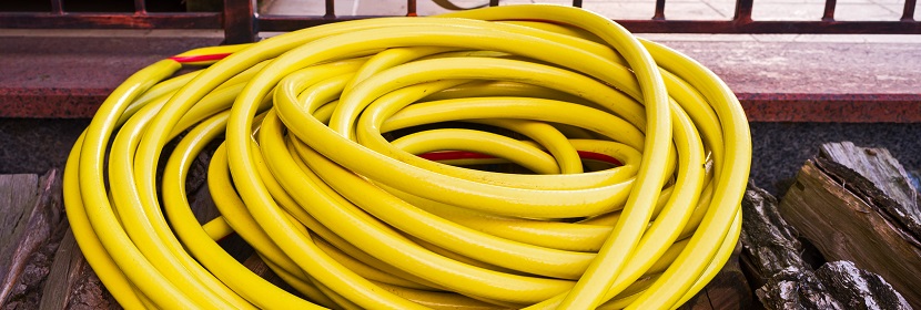 尾部懸吊模擬失重誘導大鼠抑郁模型