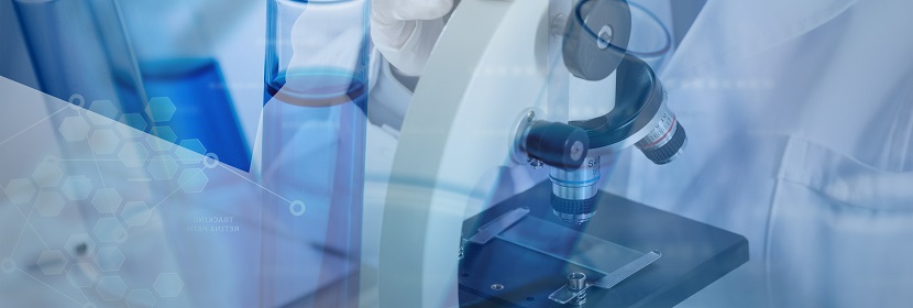 硅鋼連續(xù)退火爐用炭套檢測(cè)