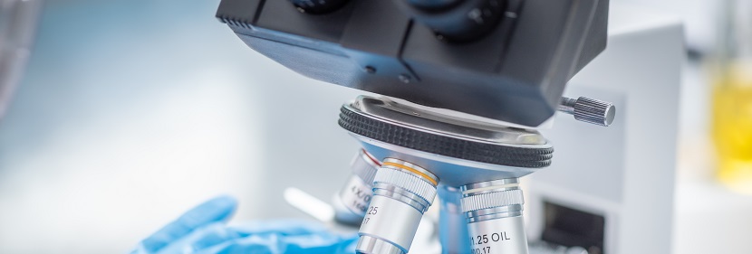 膠粘劑鄰苯檢測(cè)