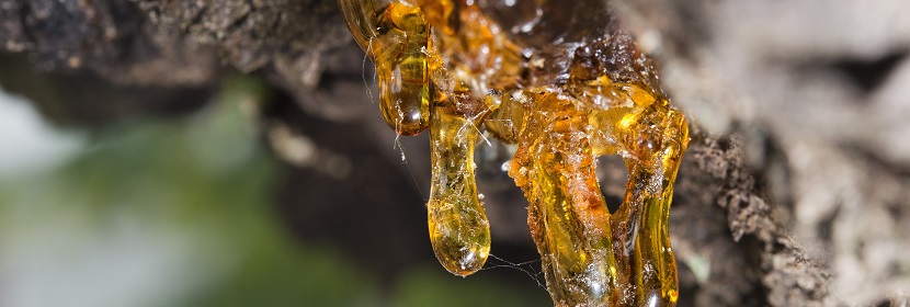 環(huán)氧樹脂地面涂料檢測